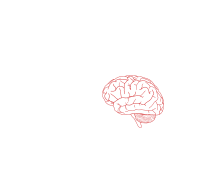 brain profile 2
