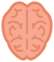 Brain