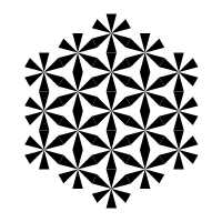 hexagonal star of zebra dodecagon