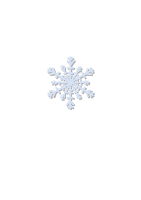 snow flake