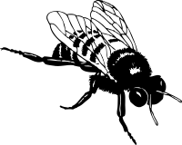 bumble bee