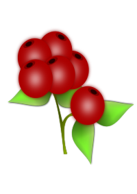 Red berry