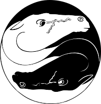 yin yang horses