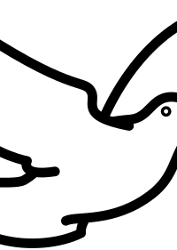 Dove flying