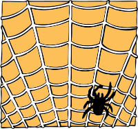 spider on a spider web