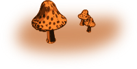 Mushrooms