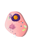 Eukaryotic cell