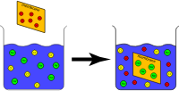 Ion Exchange Capacity Experiment