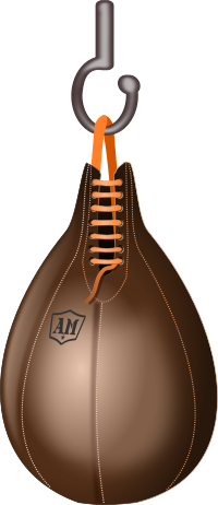Boxing Speedbag