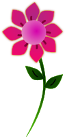 Pink Sun Flower