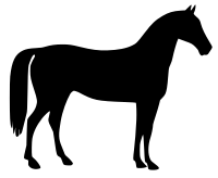 horse