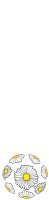 wd8
