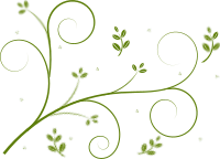 Winding lines and leaves