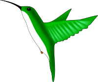Hummingbird
