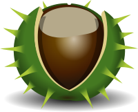 Chestnut