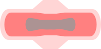 Sanitary Napkin