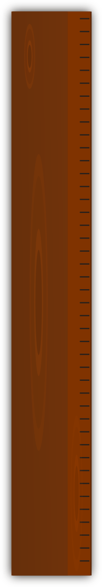 Wooden Scale
