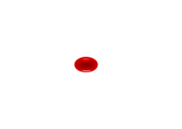 erithrocyte
