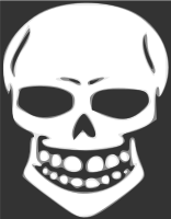 Skull human X-ray