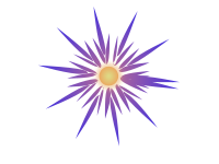 supernova
