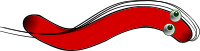 Helicobacter