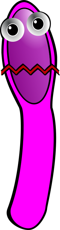 Tetani bacteria