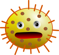 Coccus