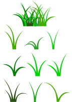 grass