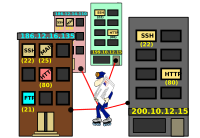 net-neighborhood