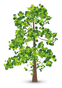 Albero