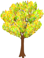 tree in autumn