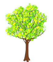 tree in spring