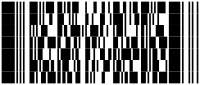 PDF417 Code Example