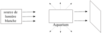 diffusion