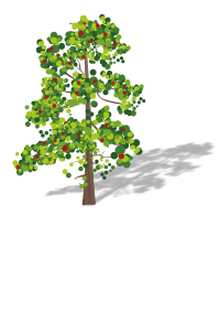 Tree with fruits