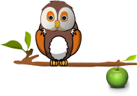 Owl on branch
