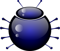 escarabajo