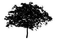 tree silhouette 8