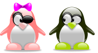 Tux in love