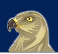 Hawk
