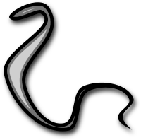Serpent