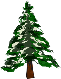 Winter Tree 1