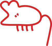 Graffiti Little mouse