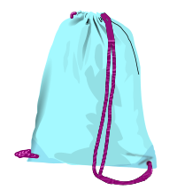 sport bag (pouch)