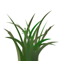 Dark Grass