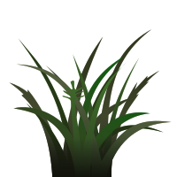 Darker Grass Shaded