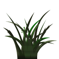 Darker Grass Shaded Varied