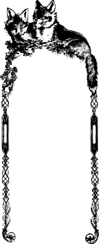 Fox Frame