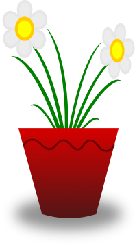 Flower Pot