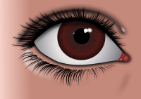 Realistic Brown Eye